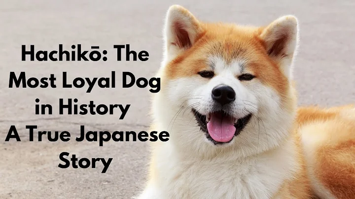 🐶 Hachikō: The Most Loyal Dog in History | A True Japanese Story 🇯🇵❤️
