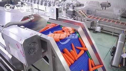 Lonkia’s Carrot Steam Peeling Line: Precision, Hygiene, and Efficiency