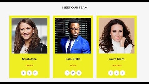 SiteOrigin Team Members Widget Addons