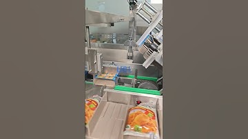 Fully automatic cartoning machine