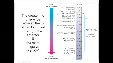 AEM 341 Exam III lecture 1 slides zoom video