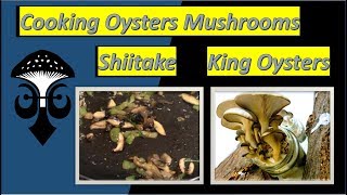 How to cook Oyster Mushrooms, Shiitake and King Oysters: Mycogio Style