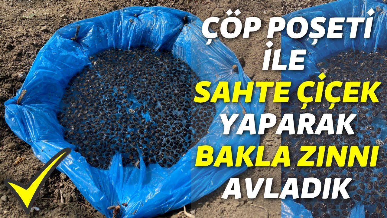 çöp poşeti ile sahte çiçek yaparak BAKLA ZINNI tuzağı yaptık süper çözüm %100 sonuç