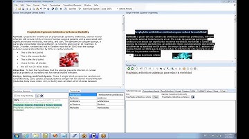 Intro Tutorial Troubleshooting - Fluency Translation Software