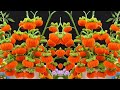 AMAZING SIMPLE DIY TUTORIAL! How to Making Fruit Pipe Cleaner for Beginners
