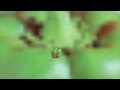 THE PAPRIKA SONG [OFFICIAL MUSIC VIDEO]