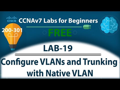 Configure VLANs and Trunking with Native VLAN - Lab19 | Free CCNA 200-301 Lab Course