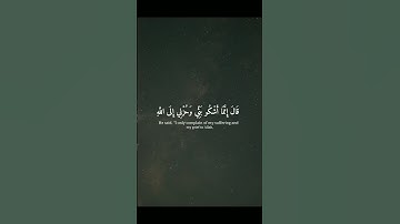 لا اله الا الله       #آيات #قرآن #قران_كريم #ياسر_الدوسري #راحة_نفسية