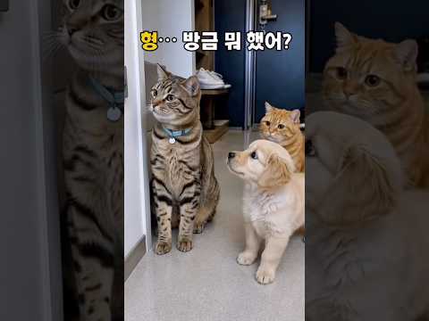 형이 뭘 건드렸는데… 막내 표정이 😂 thumbnail