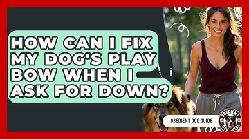 How Can I Fix My Dog