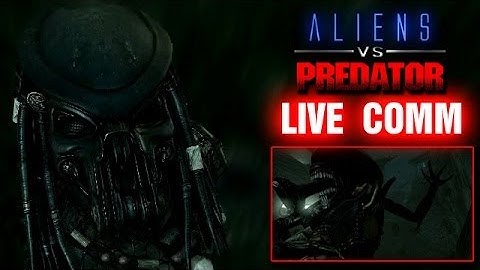 AVP Live Comm: Big Trouble in Litttle Jungle