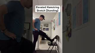 Elevated Hamstring Stretch (Standing)