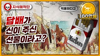 💀 담배에 대한 모든 비밀 / 💀 담배의 발전과정과 그 역사 screenshot 4