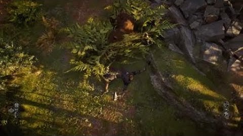 Assassins Creed: Valhalla fail compilation