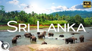 The Stunning World of Sri Lanka in 4k UHD - Relaxing Nature Film With Ambient Piano Music. by Relax Earthfully 393 views 1 year ago 32 minutes