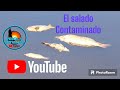 ¿QUE PASO EN EL SALADO? Fuimos por las carpas y nos encontramos con esto.