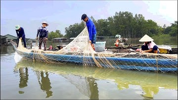 5 người làm lưới chụp 3 màng, video này càng về sau càng hấp dẫn hơn - Sông Nước Cửu Long