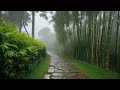🎧Asmr Rain Sound☂️&quot;대나무숲의 비&quot; #asmr빗소리 #rain #rainsoundsrelaxation