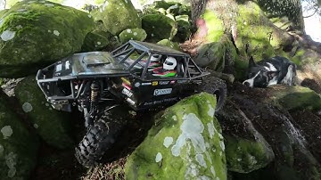 Element RC Gatekeeper Kit Rock Crawler / Ultra 4 Truck (and a dog)