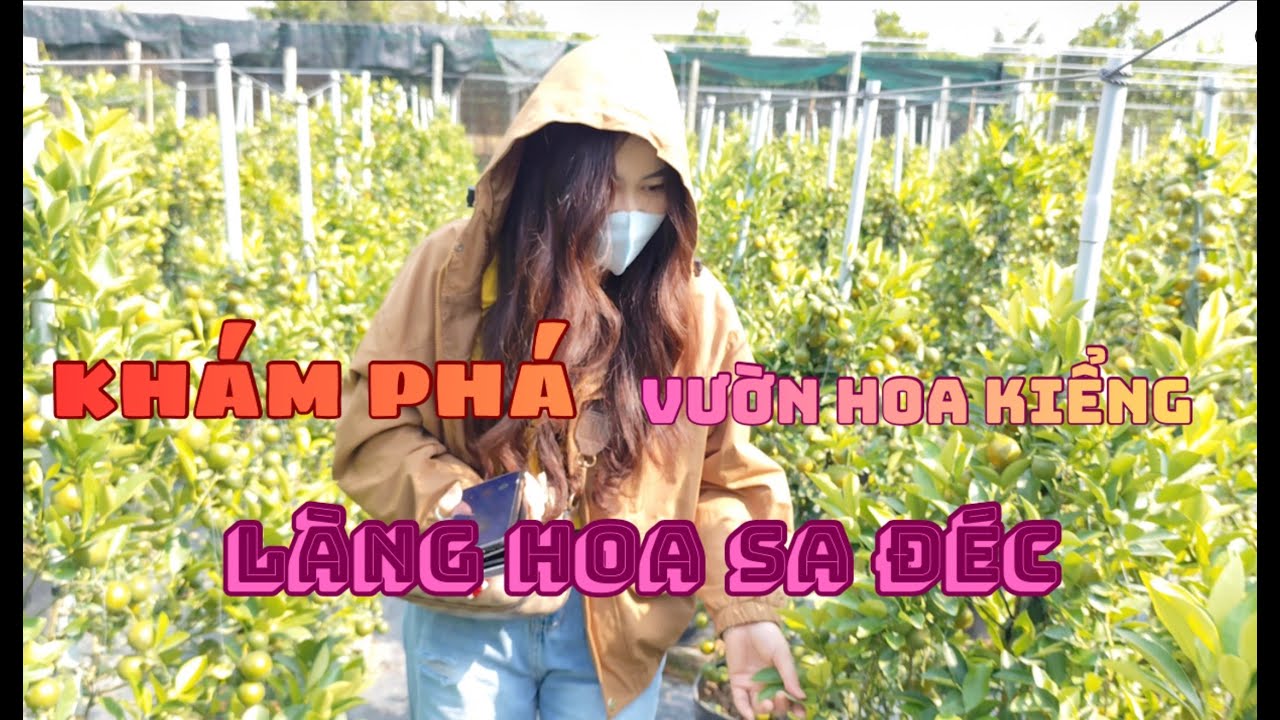 Khám Phá Vườn  hoa kiểng tại | LÀNG HOA SA ĐÉC xem bên trong người ta trồng gì.
