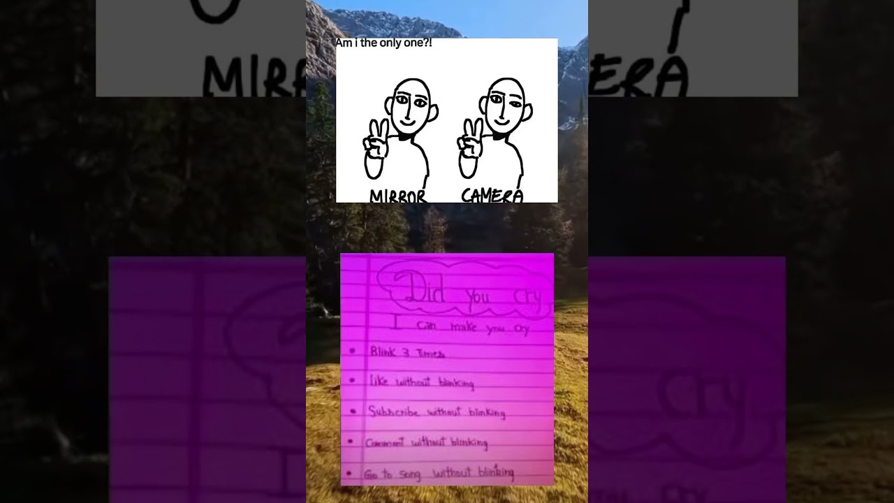 6a Memes Zyxabc Funnyimages Memesdaily