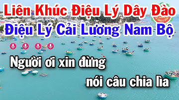 Karaoke Liên Khúc Điệu Lý Cải Lương Nam Bộ Dây Đào Cực Hay