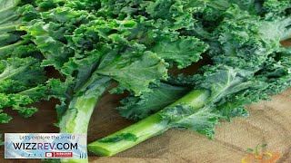 Kale Clic Blue Curled Scotch Seeds Review