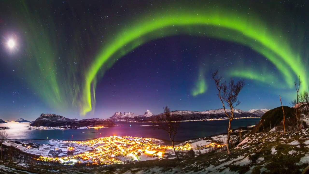 Nesna 100 år, Nord universitetet #velgnesna