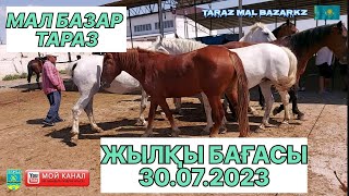 30.07.2023 ЖЫЛҚЫ БАҒАСЫ | МАЛ БАЗАР 2023 | МАЛ БАЗАР ТАРАЗ 2023 | ✅