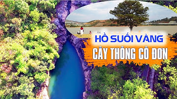 Ngắm Cảnh Đẹp CÂY THÔNG CÔ ĐƠN Đà Lạt | Trải nghiệm thú vị