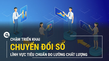 Chậm triển khai chuyển đổi số lĩnh vực tiêu chuẩn đo lường chất lượng |Truyền hình Quốc hội Việt Nam