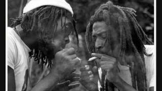 Peter Tosh Interview About Herb