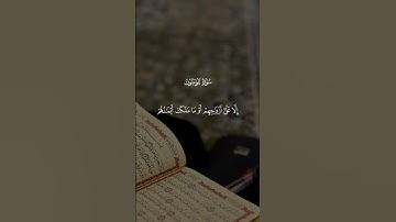 قران كريم بصوت جميل ومؤثر 🎧🥰 #قرآن #قران_كريم متابعة للصفحة فضلاً 🥰🤍
