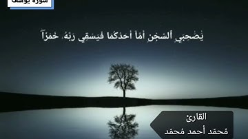 «إن الحكم إلا لله» سوره يوسف للقارئ محمد أحمد 💙#اكسبلور #dr #الأزهر #قرآن