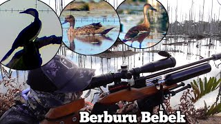 GILA❗SPOT BELIBIS TERBANYAK POIN SATU BOX. BERBURU BELIBIS, BORNEO Slug