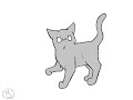 Cat Animation