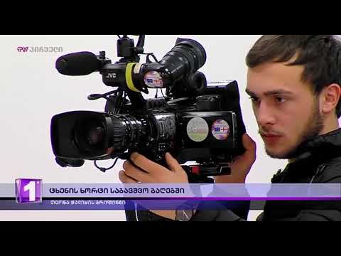 ცხენის ხორცი საბავშვო ბაღებში - თეონა ჭალიძის ბრიფინგი