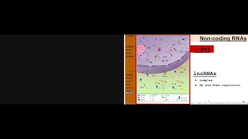 SF 14 1 PART1   Epigenetics And Circadian Clock {L}   Genetics   S  Arbor default