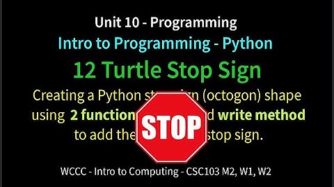 12 Turtle Stop Sign (Python)