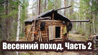 Поход в лес. Тайга весной. (лосиные места, красота, охота) Часть 2/2 Поход в лес. Тайга весной. (лосиные места, красота, охота) Часть 2/2