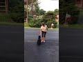 Training Puppy To Walk On Leash | Maryland | Pawz For Health Training Puppy To Walk On Leash | Maryland | Pawz For Health