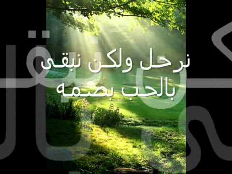 الشاعره شجون    قصــيده القــاء