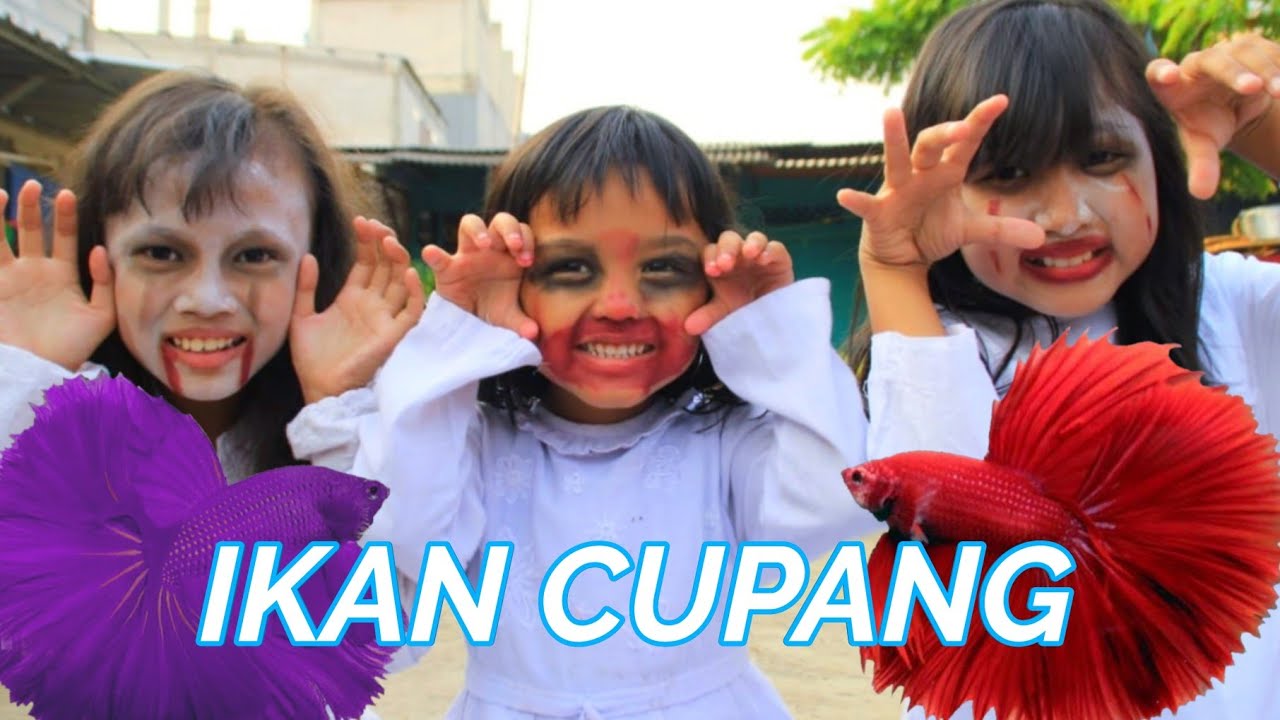 Parodi Lucu Little Princess Rara Beli ikan  Cupang  