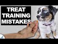 Most Puppy Owners Make THE SAME 5 Training Mistakes!