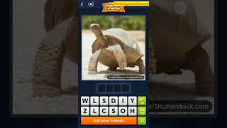 4 Pics 1 Word Daily Puzzle May 2, 2023