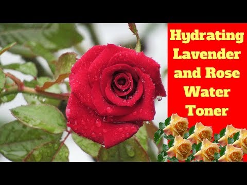 Hydrating Lavender and Rose Water Toner