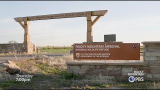 (Preview) Colorado Experience: Weapons to Wildlife
