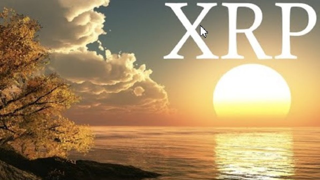 Ripple XRP FED s XRP Buy Back WILL Happen If Ripple Loses Lawsuit ripple-xrp-fed-s-xrp-buy-back-will-happen-if-ripple-loses-lawsuit
