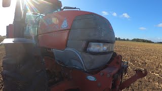 Mcormick MTX 135 earning her keep.