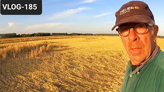 FARMVLOG #185 when fertilizing, storm, digging up tulips, number of tubers.